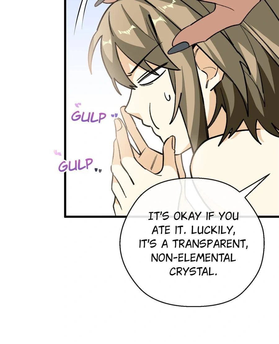 80657388 900 1109 79268